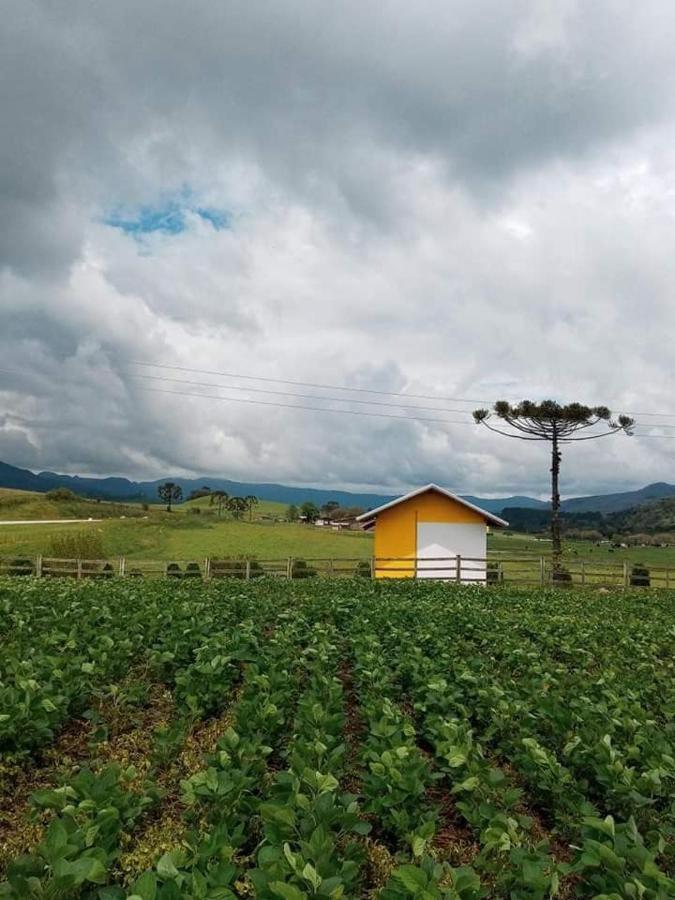 Cabana Caminho Das Borboletas Bom Retiro  Exteriör bild