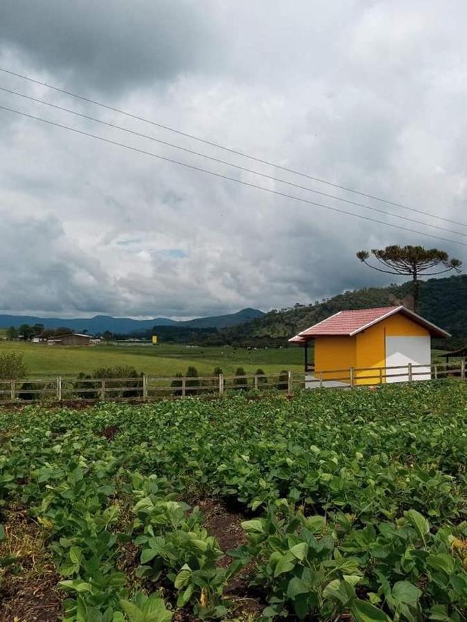 Cabana Caminho Das Borboletas Bom Retiro  Exteriör bild